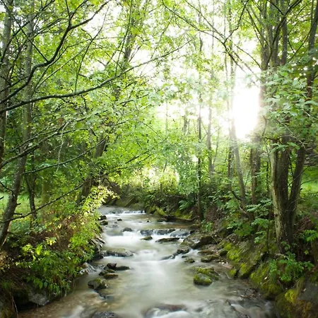 Naturhotel Ortners Eschenhof באד קליניקירשהיים
